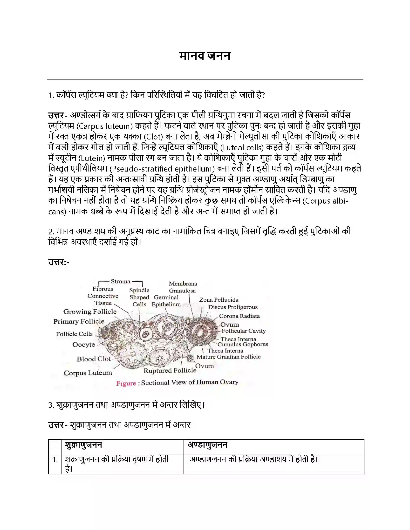 Bihar Board Class 12th मानव जनन मानव जनन  Subjective Objective Question 1