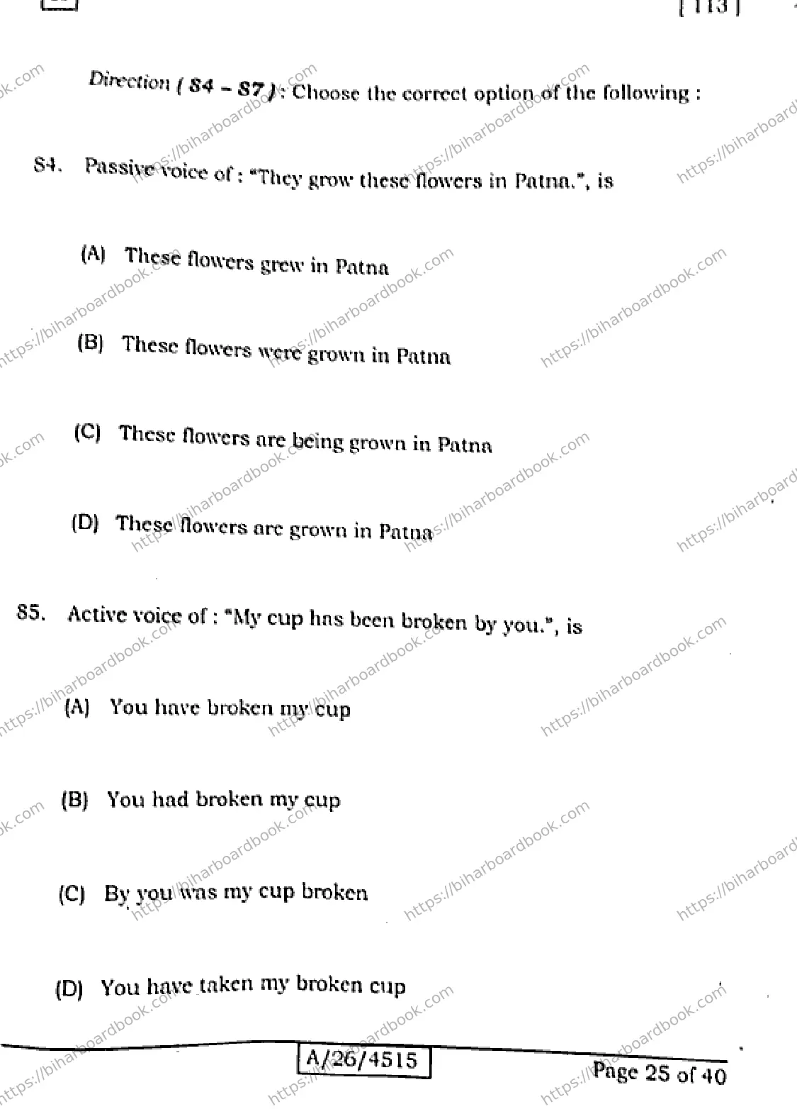 Bihar Board Class 10th 2026 ENGLISH-113-SET-A Previous Year Paper 25