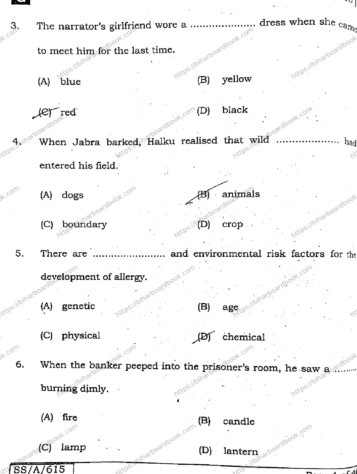 Bihar Board Class 10th 2025 English  113  SetG  2025 Previous Year Paper 3