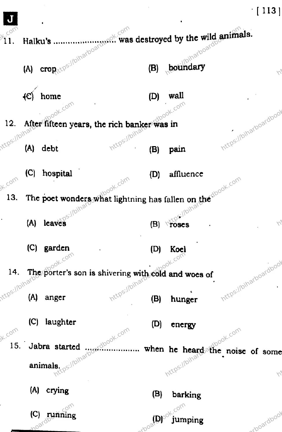 Bihar Board Class 10th 2025 English  113  SetJ  2025 Previous Year Paper 6