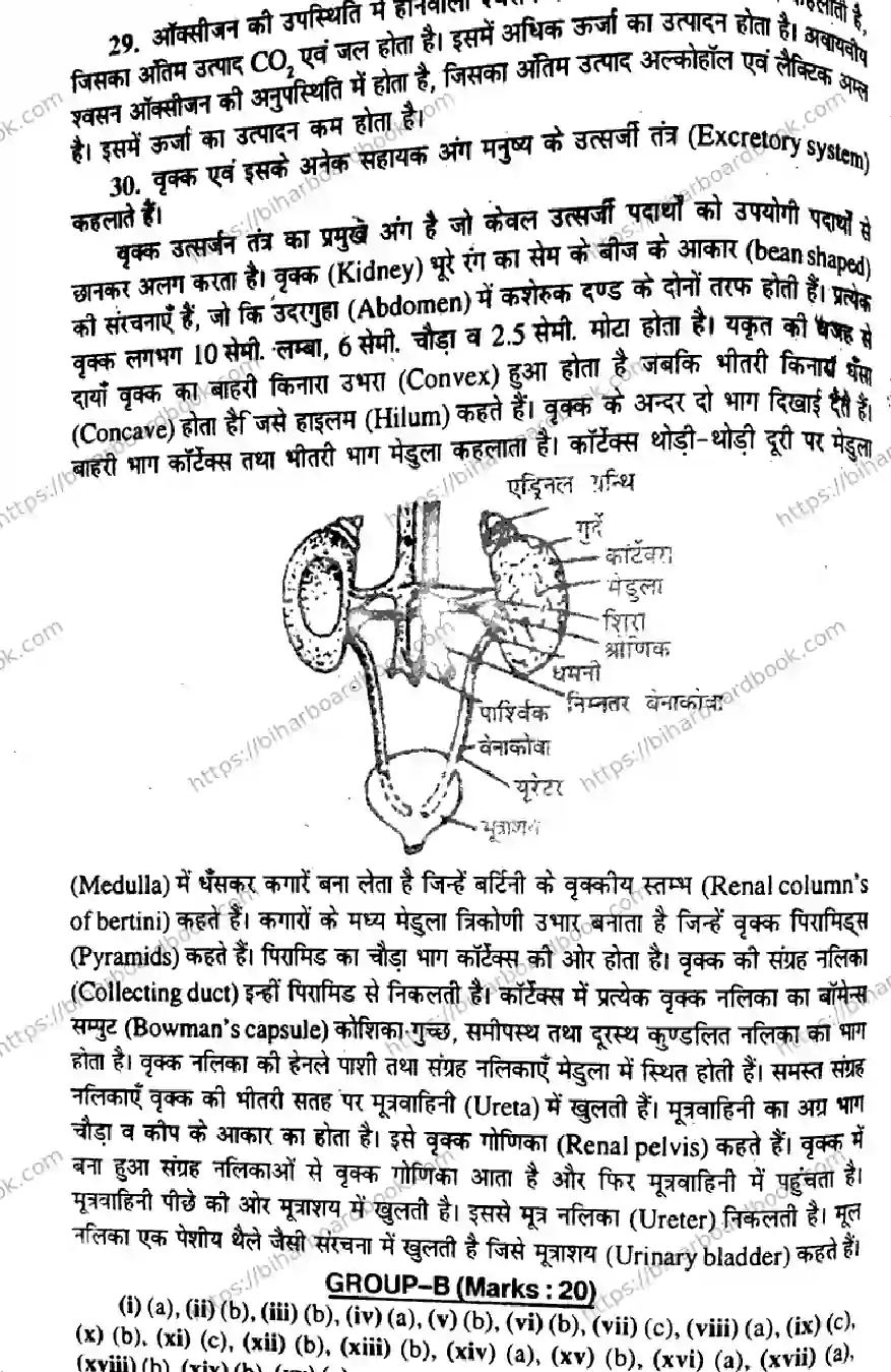 Bihar Board Class 10th 2015 Science  P2  2015 Previous Year Paper 7