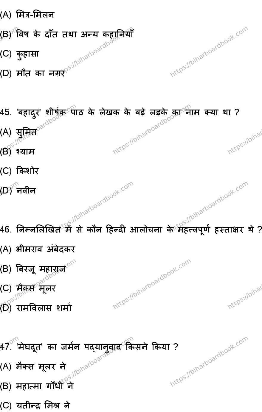 Bihar Board Class 10th 2023 हिंदी MT  101  (SetA)  2023 Previous Year Paper 13
