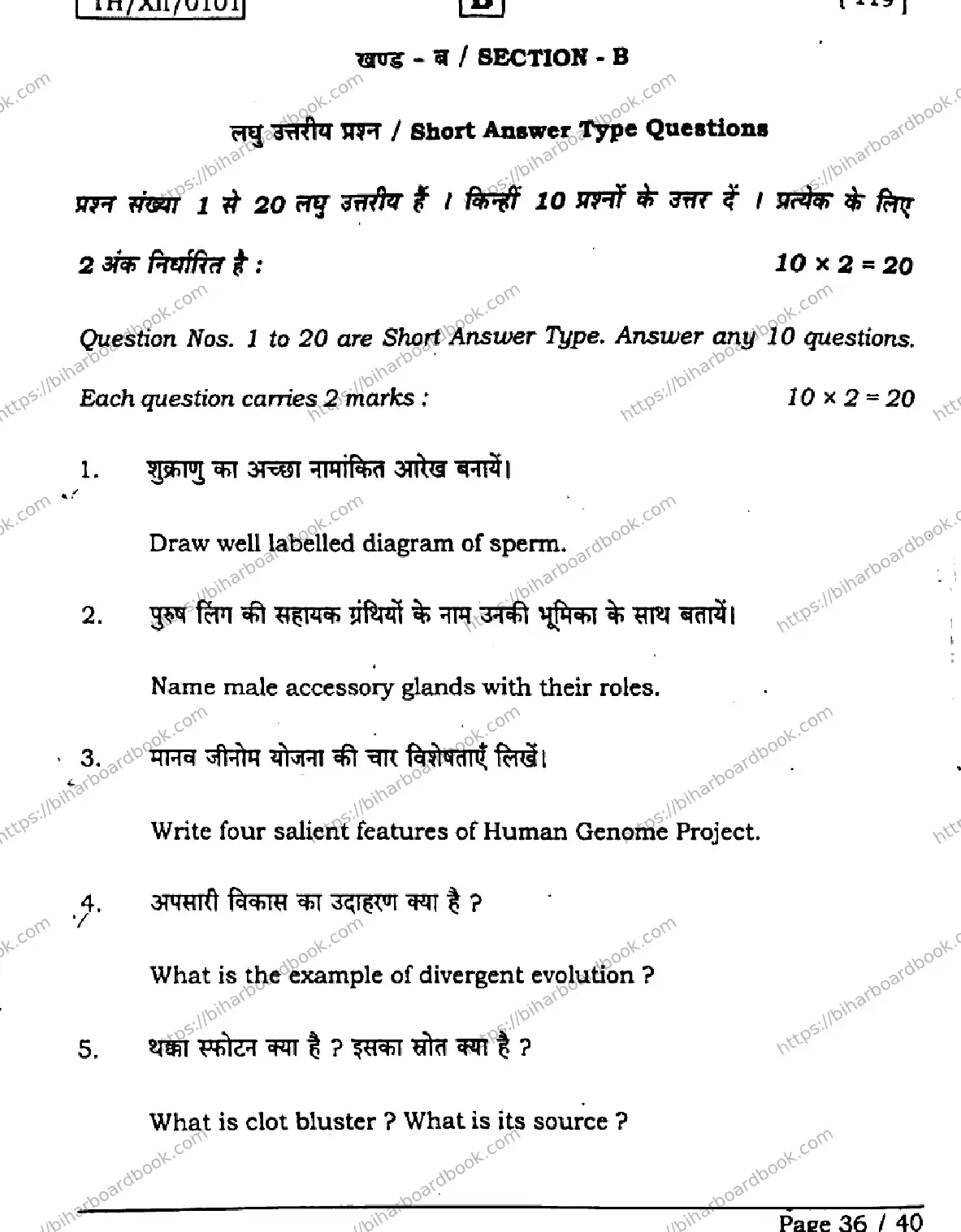 Bihar Board Class 12th 2026 BIOLOGY-119-SET-B Previous Year Paper 36