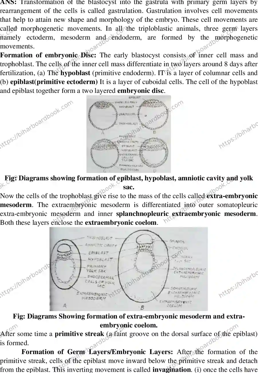 Bihar Board Class 12th 2015 Biology  2015 Previous Year Paper 7