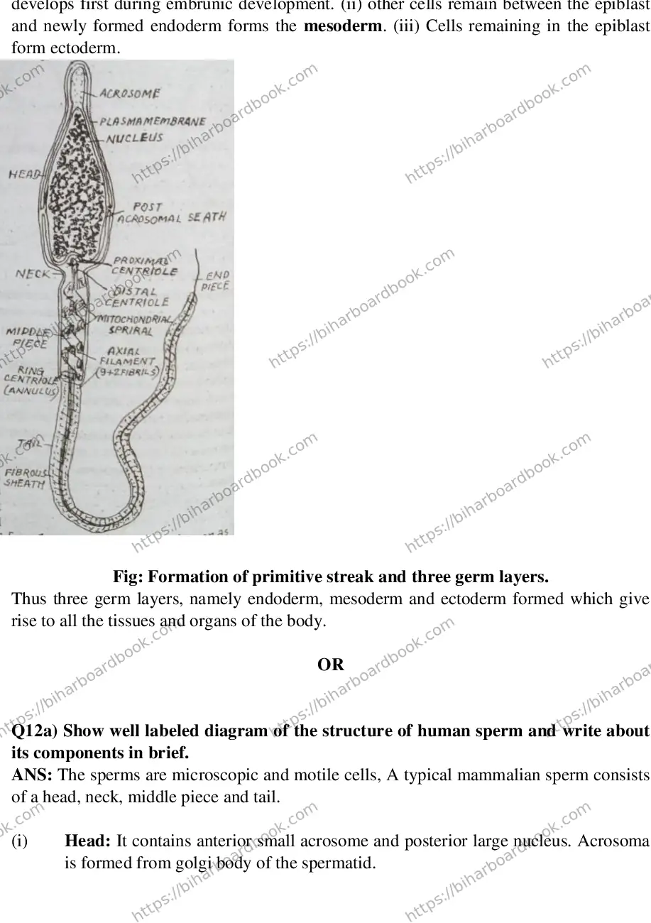 Bihar Board Class 12th 2016 Biology  2016 Previous Year Paper 8