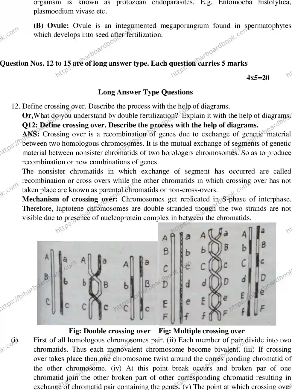 Bihar Board Class 12th 2017 Biology  2017 Previous Year Paper 8