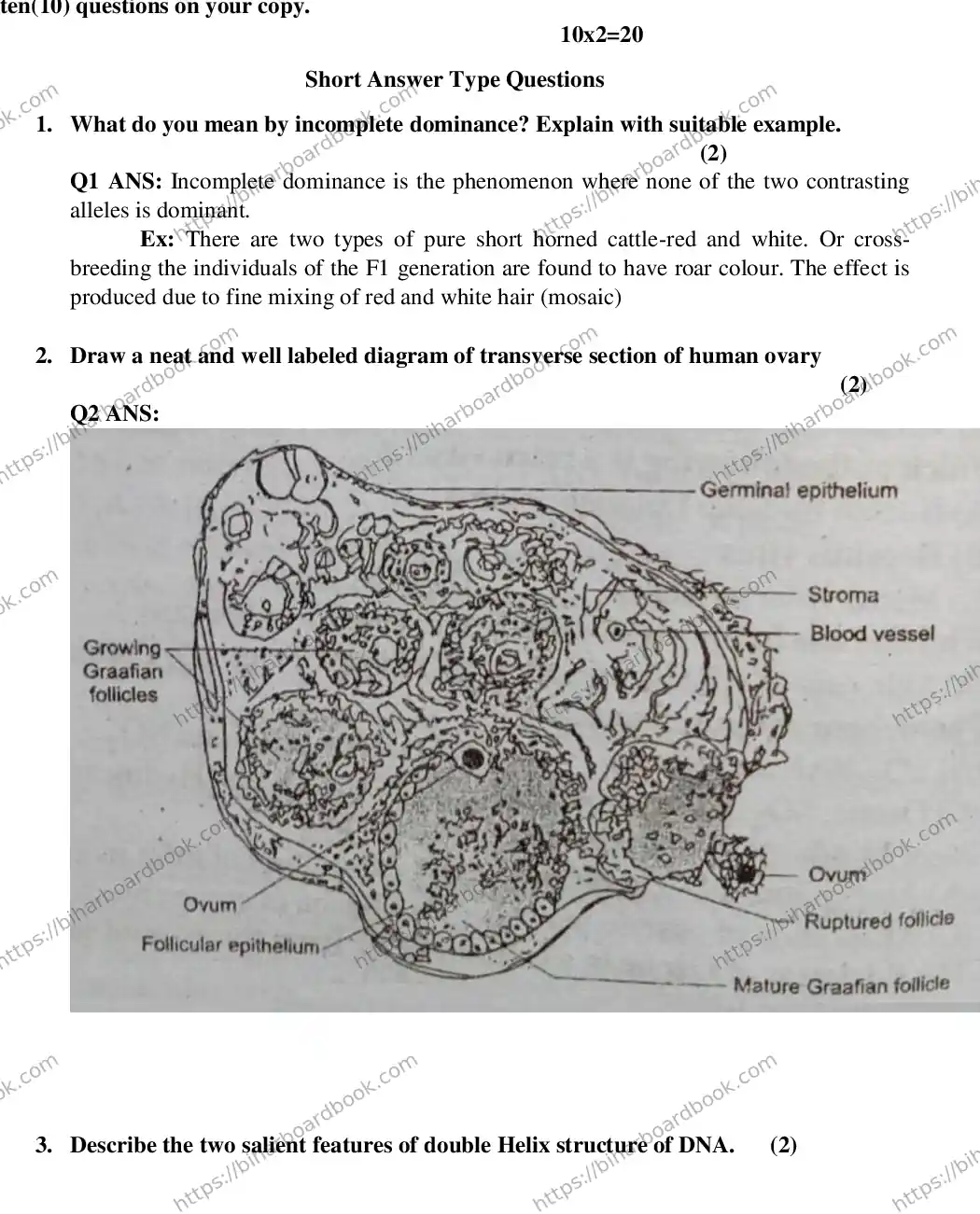 Bihar Board Class 12th 2018 Biology  2018 Previous Year Paper 6