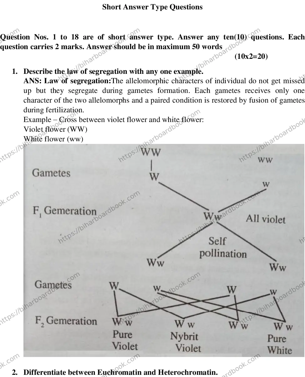 Bihar Board Class 12th 2019 Biology  2019 Previous Year Paper 6