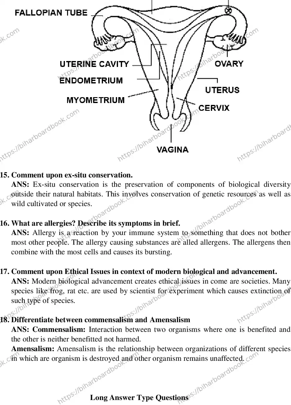 Bihar Board Class 12th 2019 Biology  2019 Previous Year Paper 9
