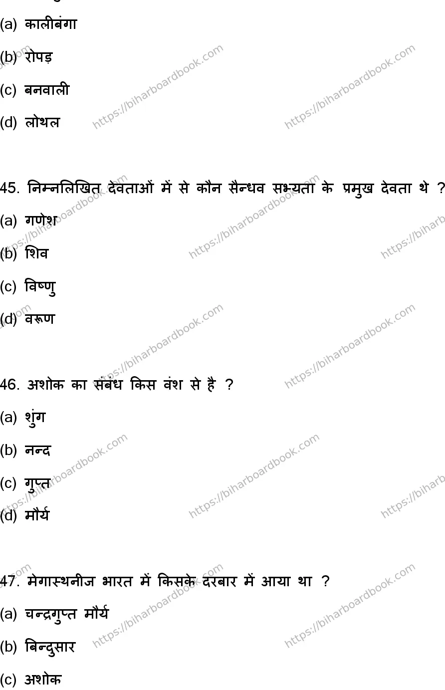 Bihar Board Class 12th 2023 History Previous Year Paper 13