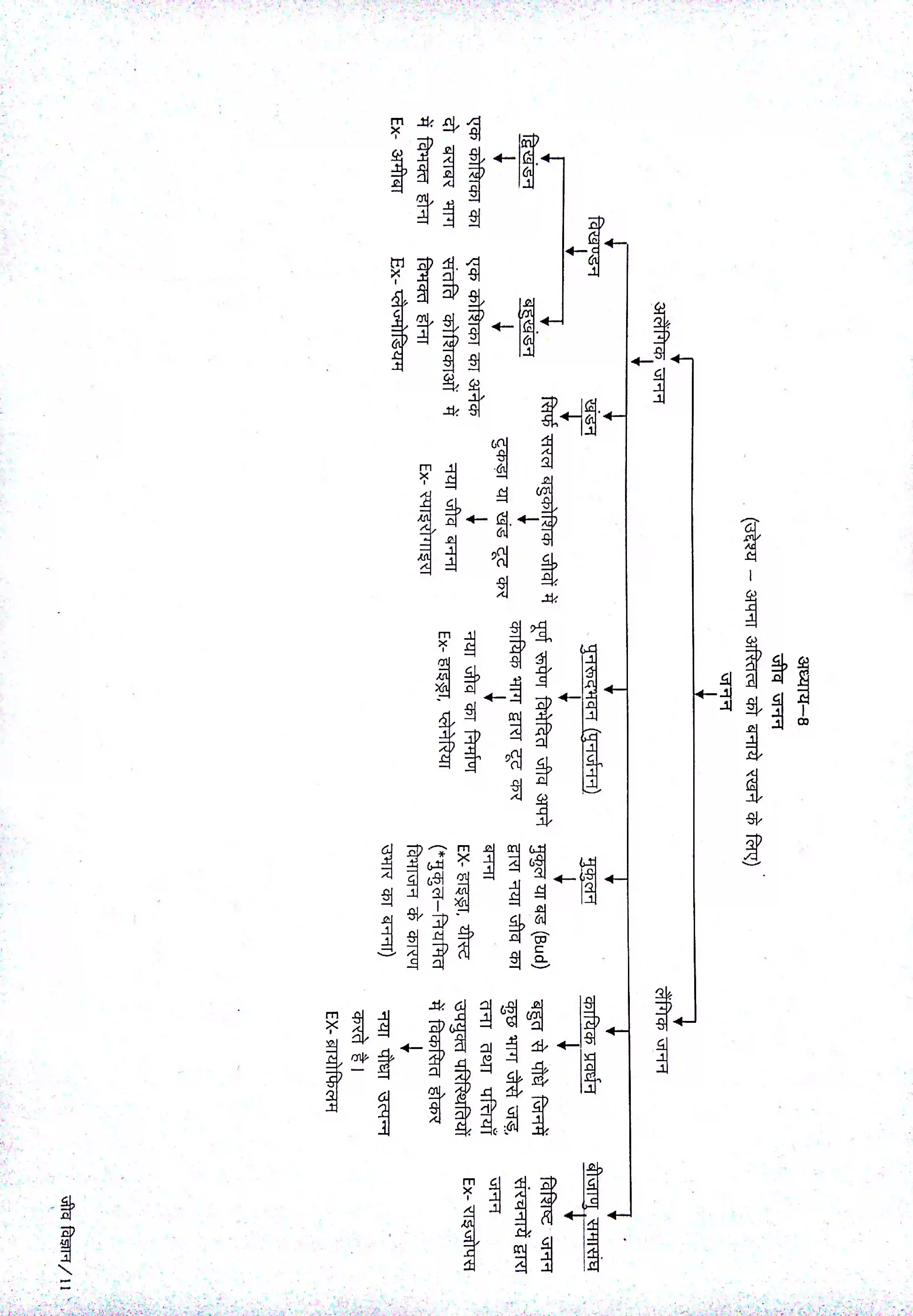 Bihar Board Class 10th Biology जीव जनन Revision Note 1