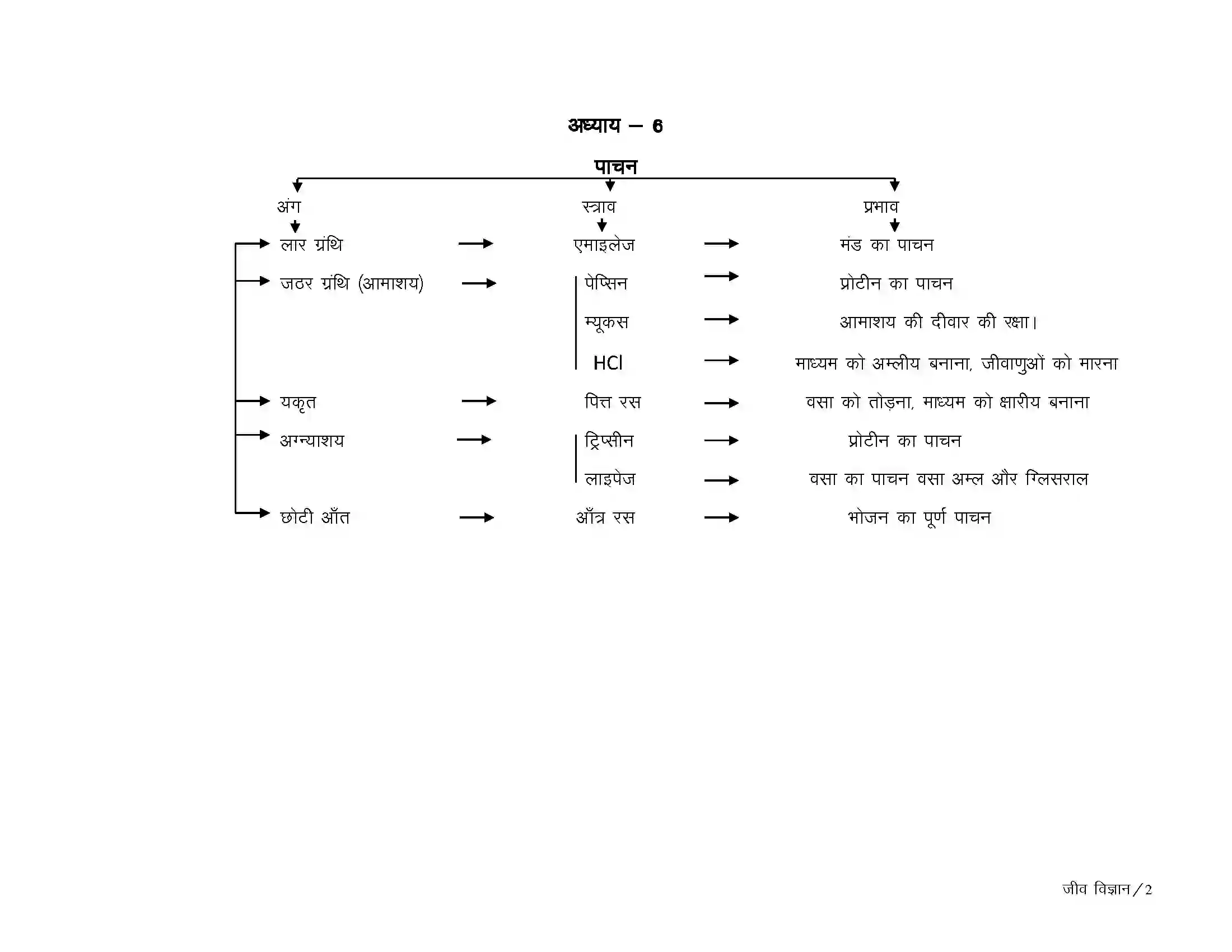 Bihar Board Class 10th Biology जैव प्रक्रम Revision Note 2