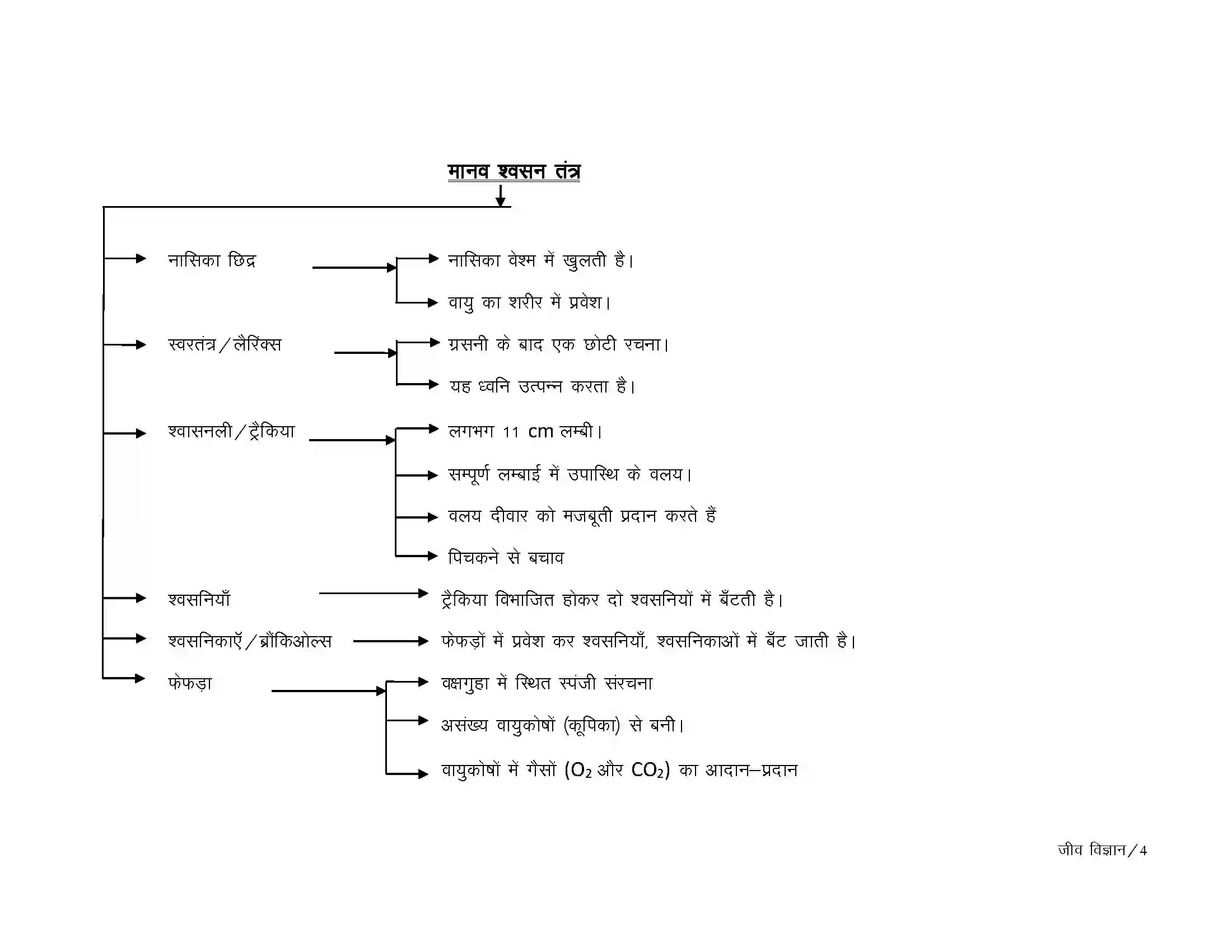 Bihar Board Class 10th Biology जैव प्रक्रम Revision Note 4