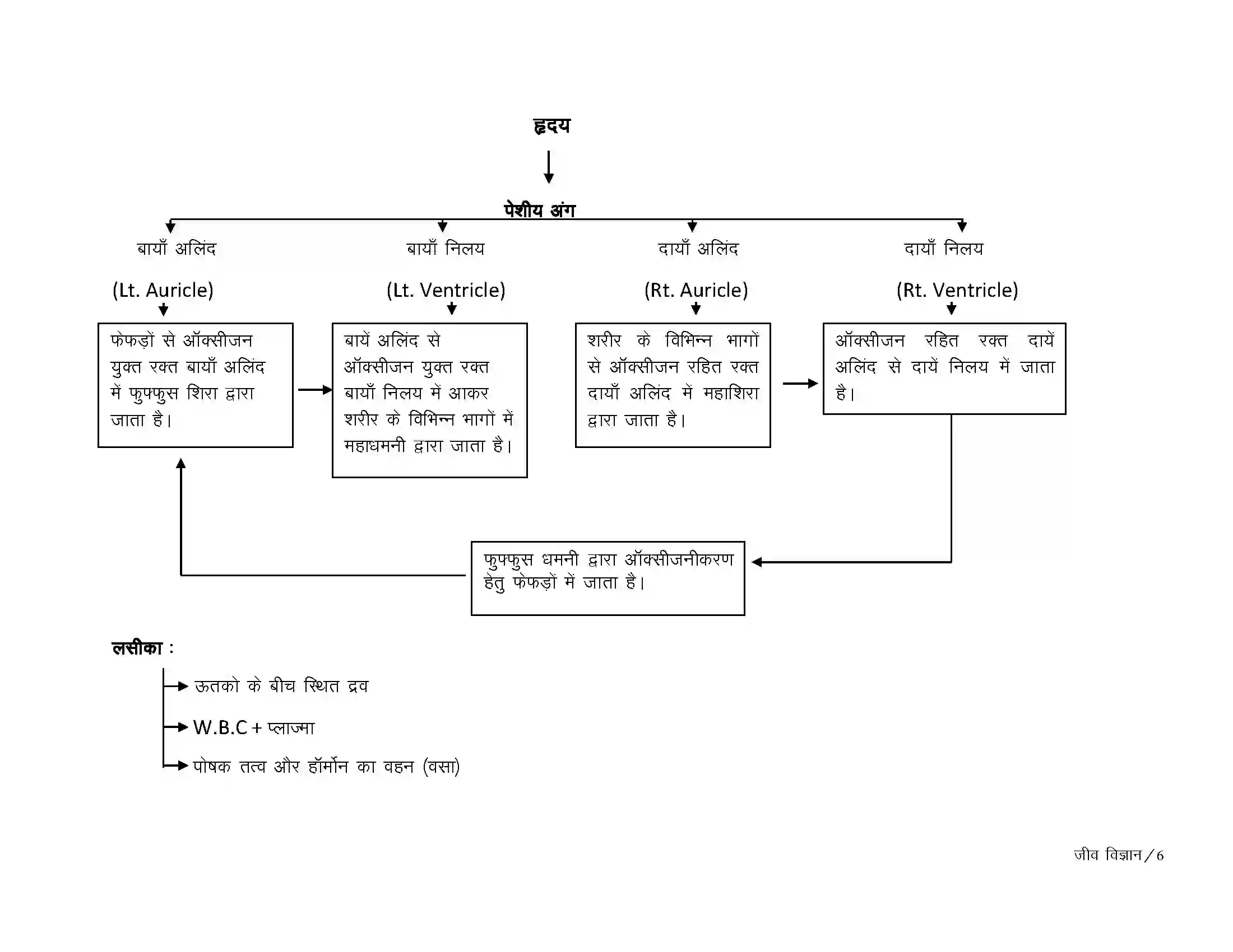 Bihar Board Class 10th Biology जैव प्रक्रम Revision Note 6