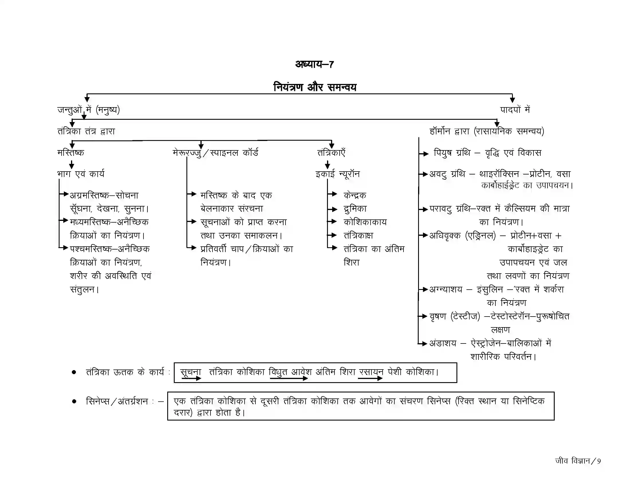 Bihar Board Class 10th Biology नियंत्रण और समन्वय Revision Note 1