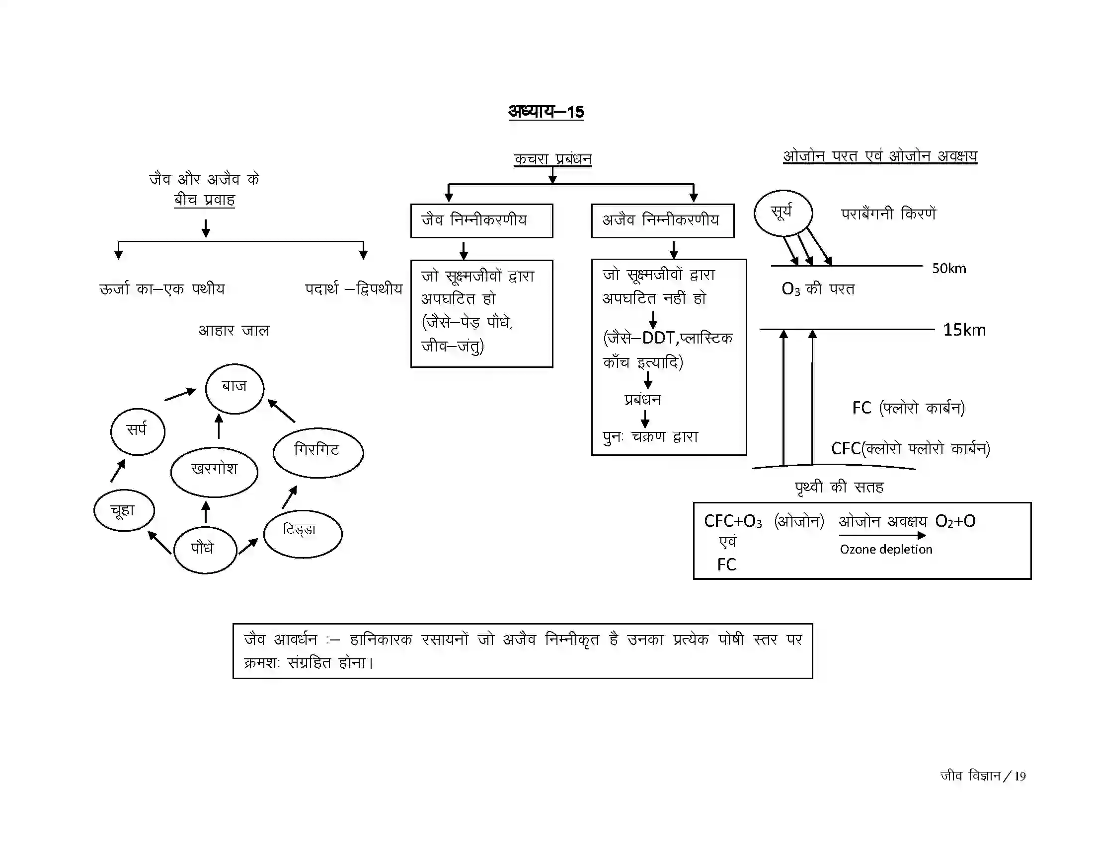 Bihar Board Class 10th Biology हमारे पर्यावरण Revision Note 2
