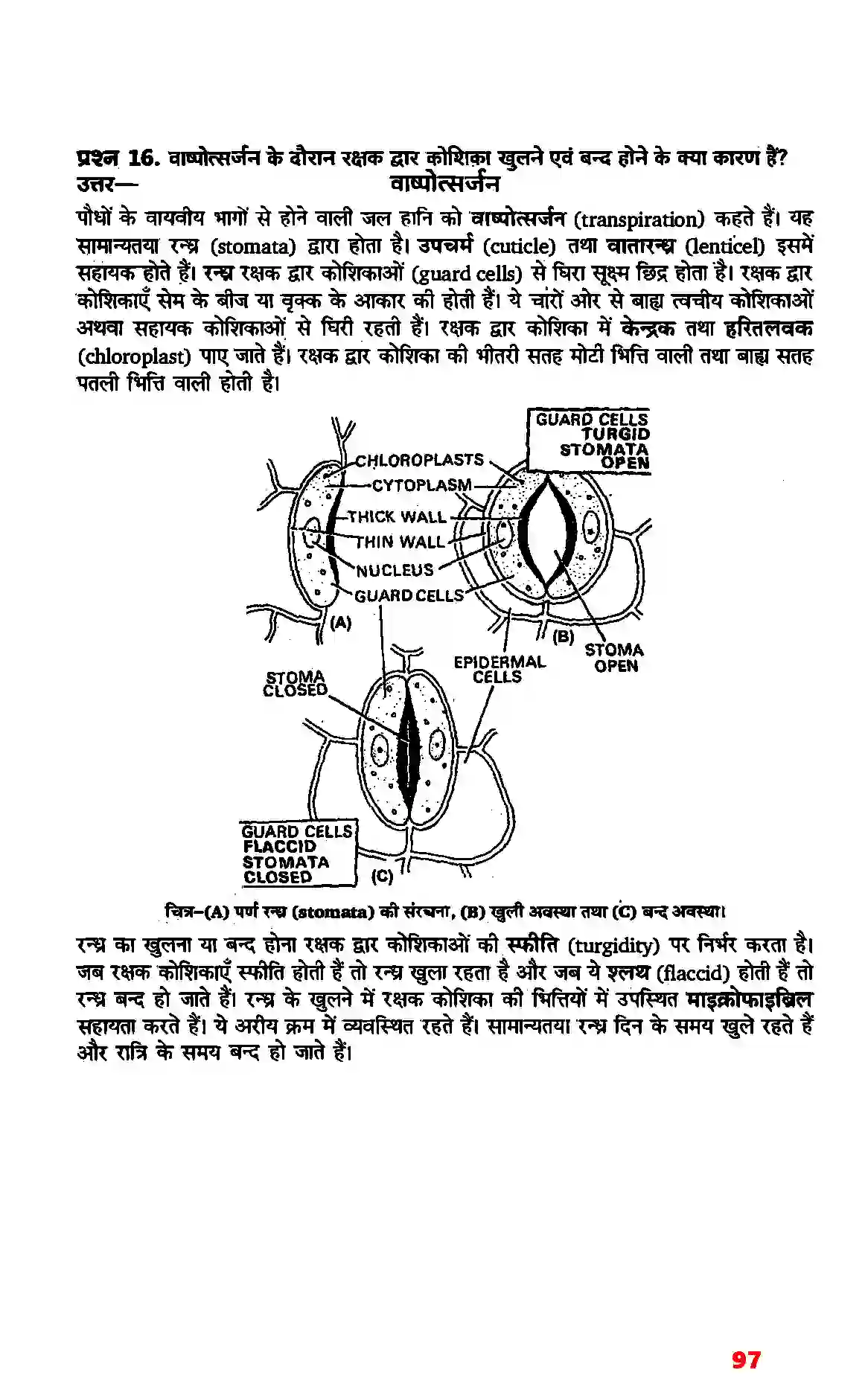 Bihar Board Class 11th Biology (जीव विज्ञान) Chapter 11 (पौधों में परिवहन) Solution 10