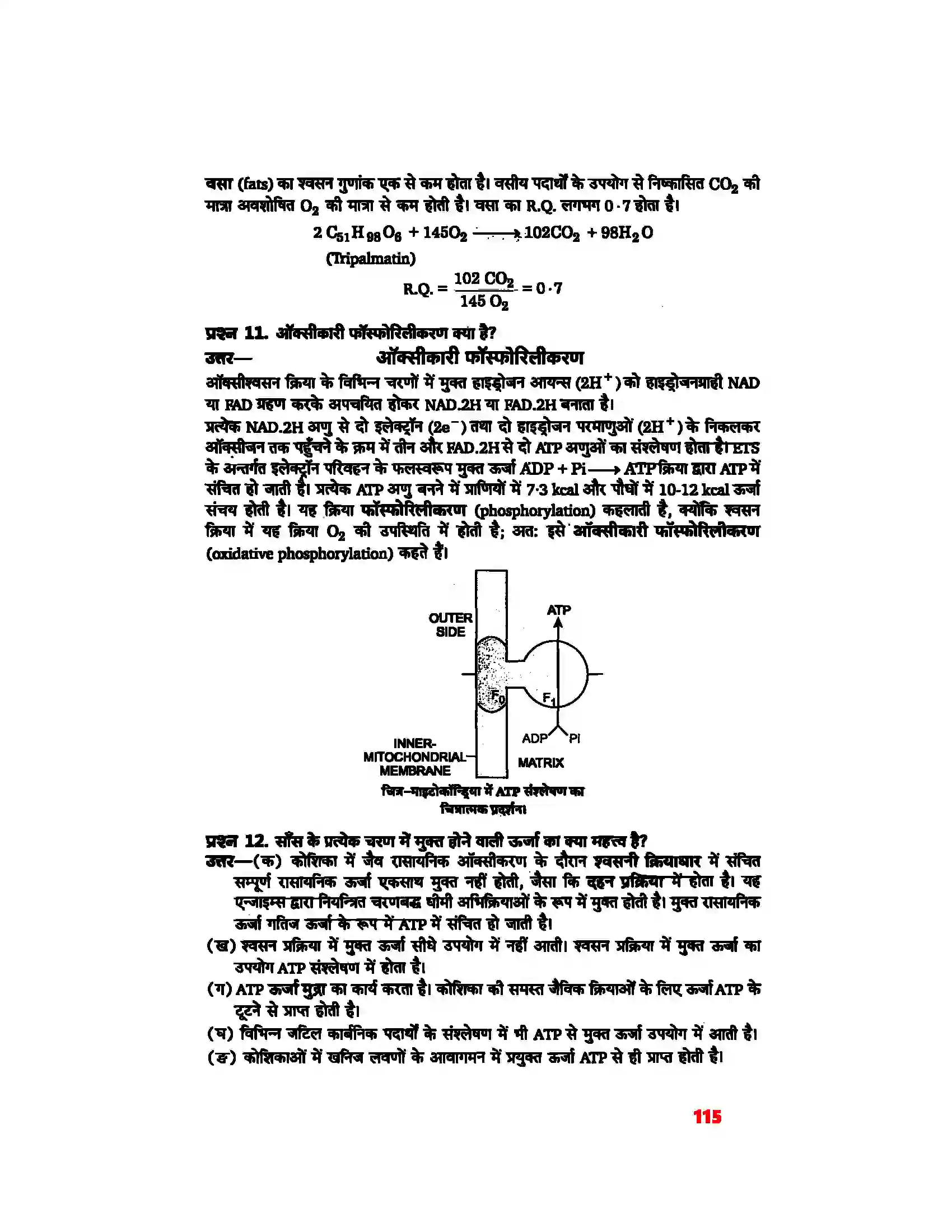 Bihar Board Class 11th Biology (जीव विज्ञान) Chapter 14 (पादप में श्वसन) Solution 9