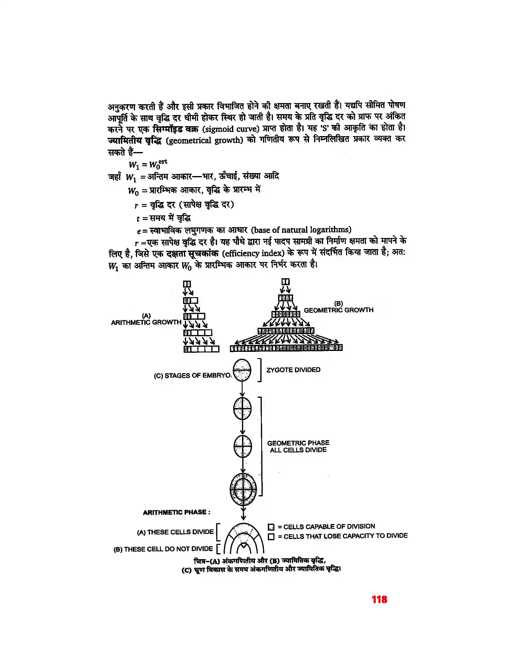 Bihar Board Class 11th Biology (जीव विज्ञान) Chapter 15 (पादप वृद्धि एवं परिवर्धन) Solution 3