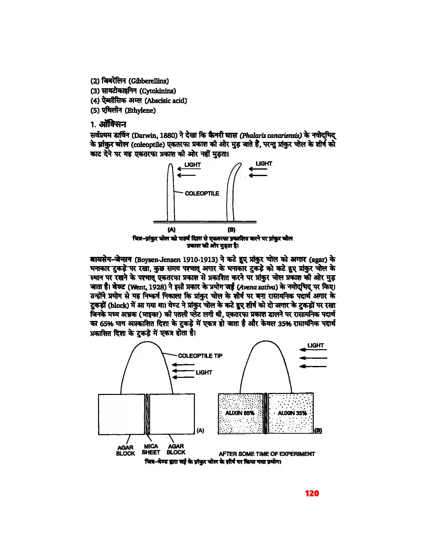 Bihar Board Class 11th Biology (जीव विज्ञान) Chapter 15 (पादप वृद्धि एवं परिवर्धन) Solution 5