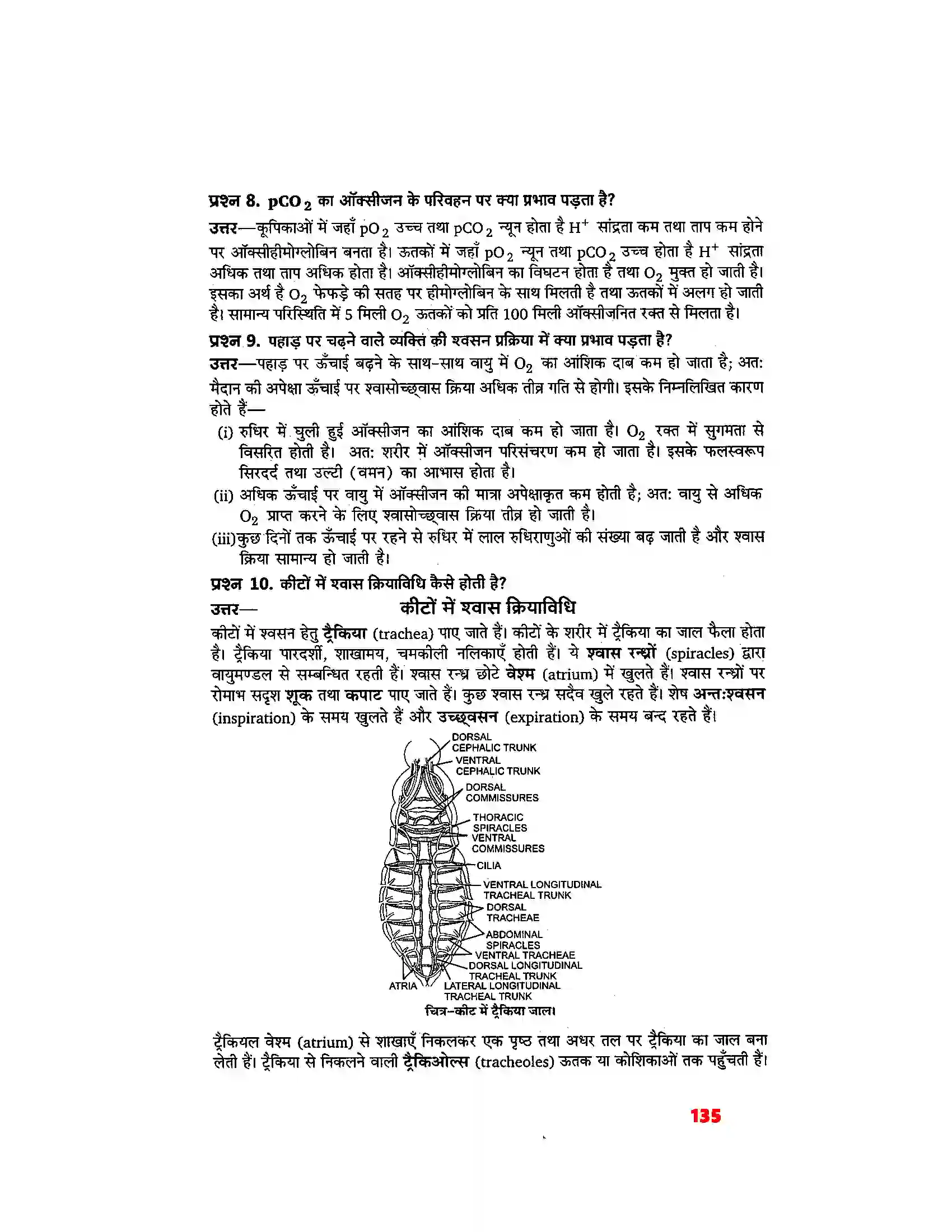 Bihar Board Class 11th Biology (जीव विज्ञान) Chapter 17 (श्वसन और गैसों का विनिमय) Solution 5