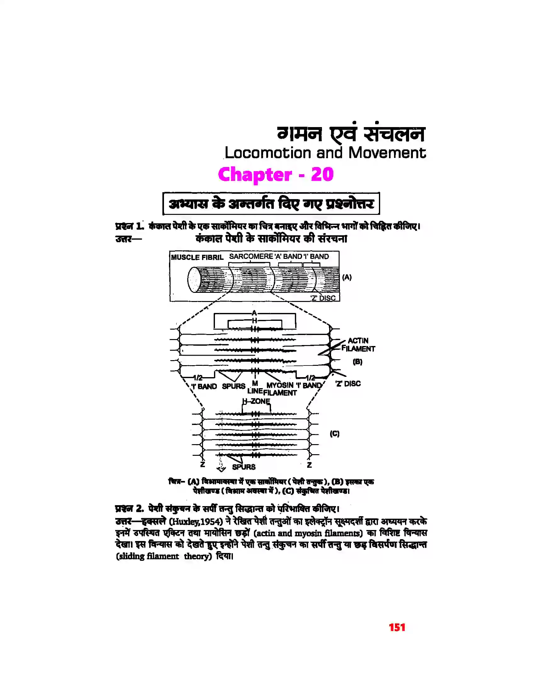Bihar Board Class 11th Biology (जीव विज्ञान) Chapter 20 (गमन एवं संचलन) Solution 1