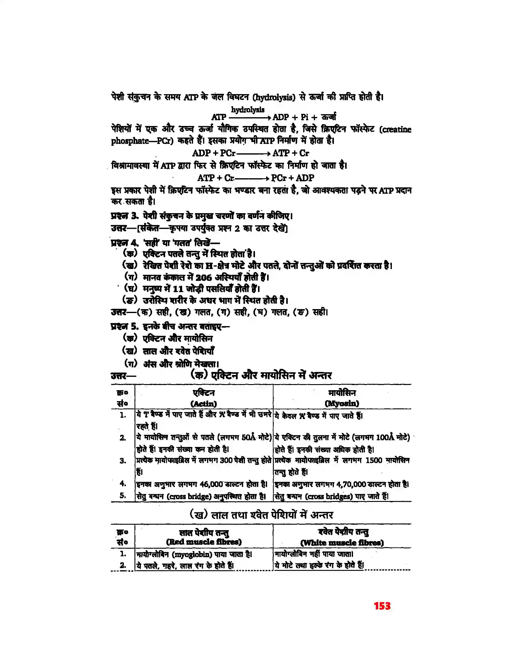 Bihar Board Class 11th Biology (जीव विज्ञान) Chapter 20 (गमन एवं संचलन) Solution 3
