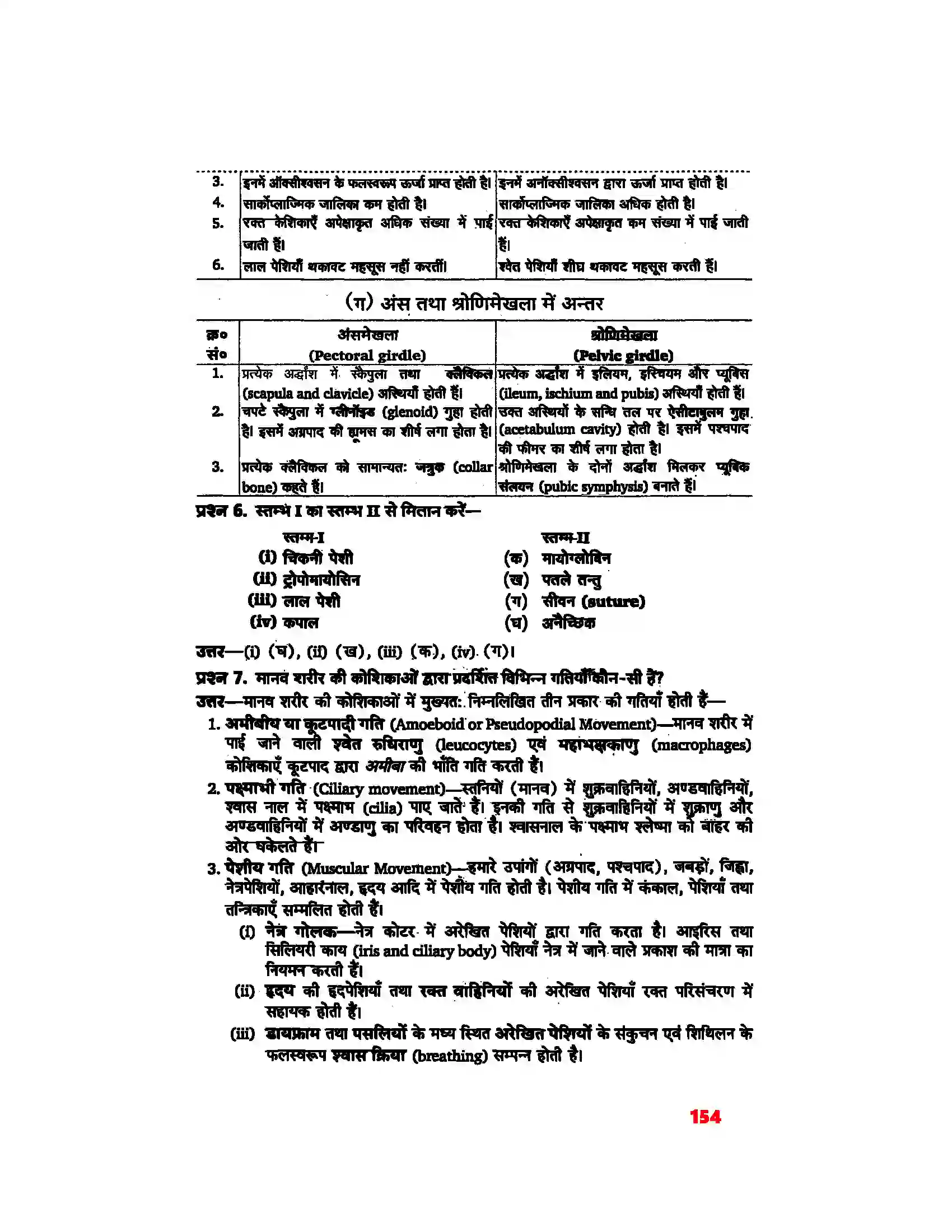 Bihar Board Class 11th Biology (जीव विज्ञान) Chapter 20 (गमन एवं संचलन) Solution 4