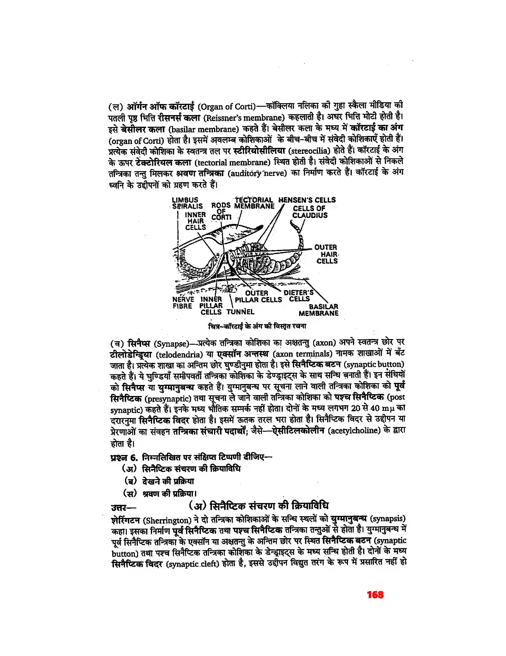Bihar Board Class 11th Biology (जीव विज्ञान) Chapter 21 (तंत्रिकीय नियंत्रण एवं समन्वय) Solution 12
