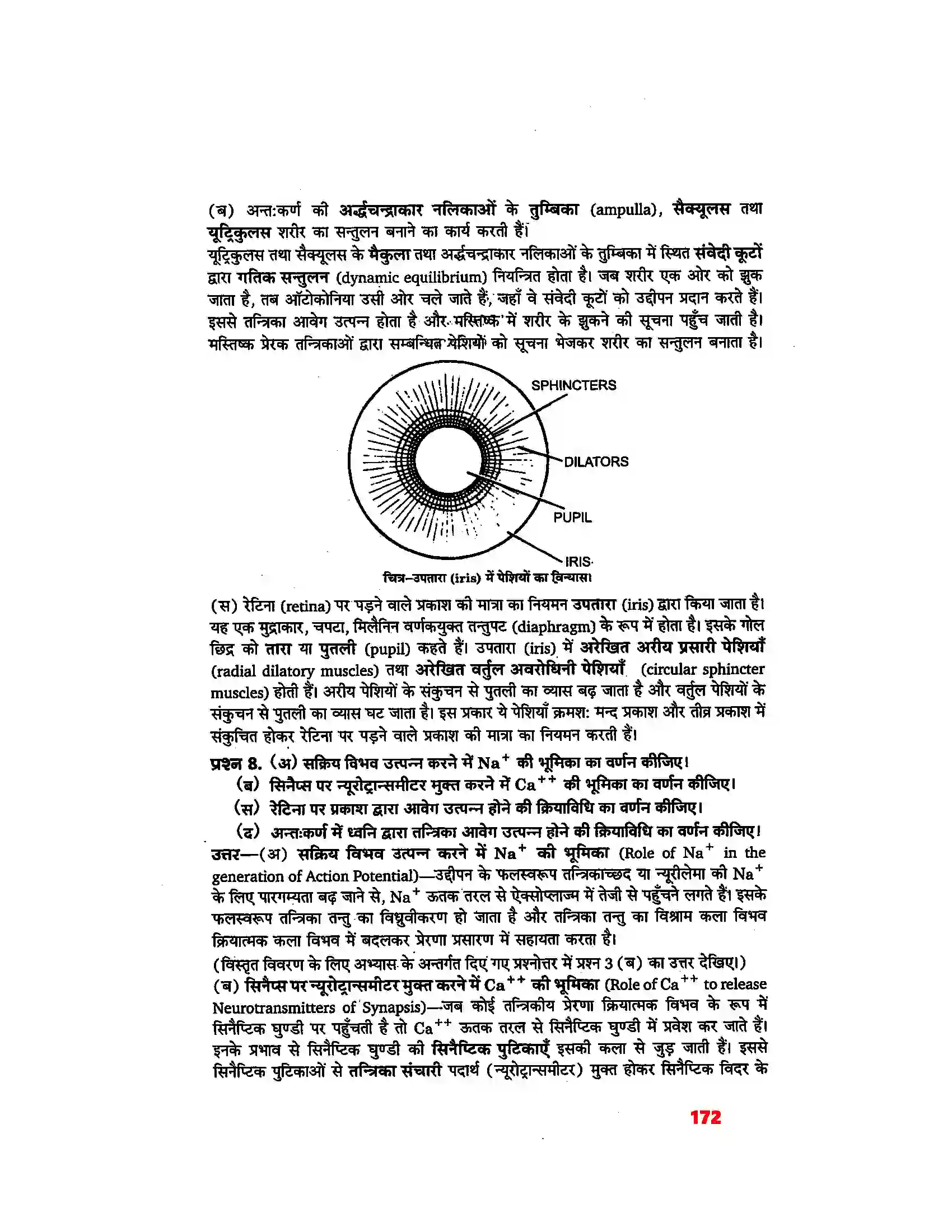 Bihar Board Class 11th Biology (जीव विज्ञान) Chapter 21 (तंत्रिकीय नियंत्रण एवं समन्वय) Solution 16