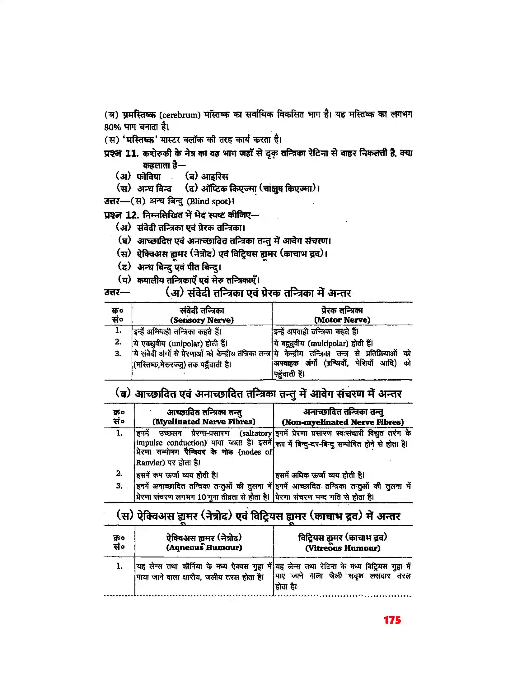 Bihar Board Class 11th Biology (जीव विज्ञान) Chapter 21 (तंत्रिकीय नियंत्रण एवं समन्वय) Solution 19