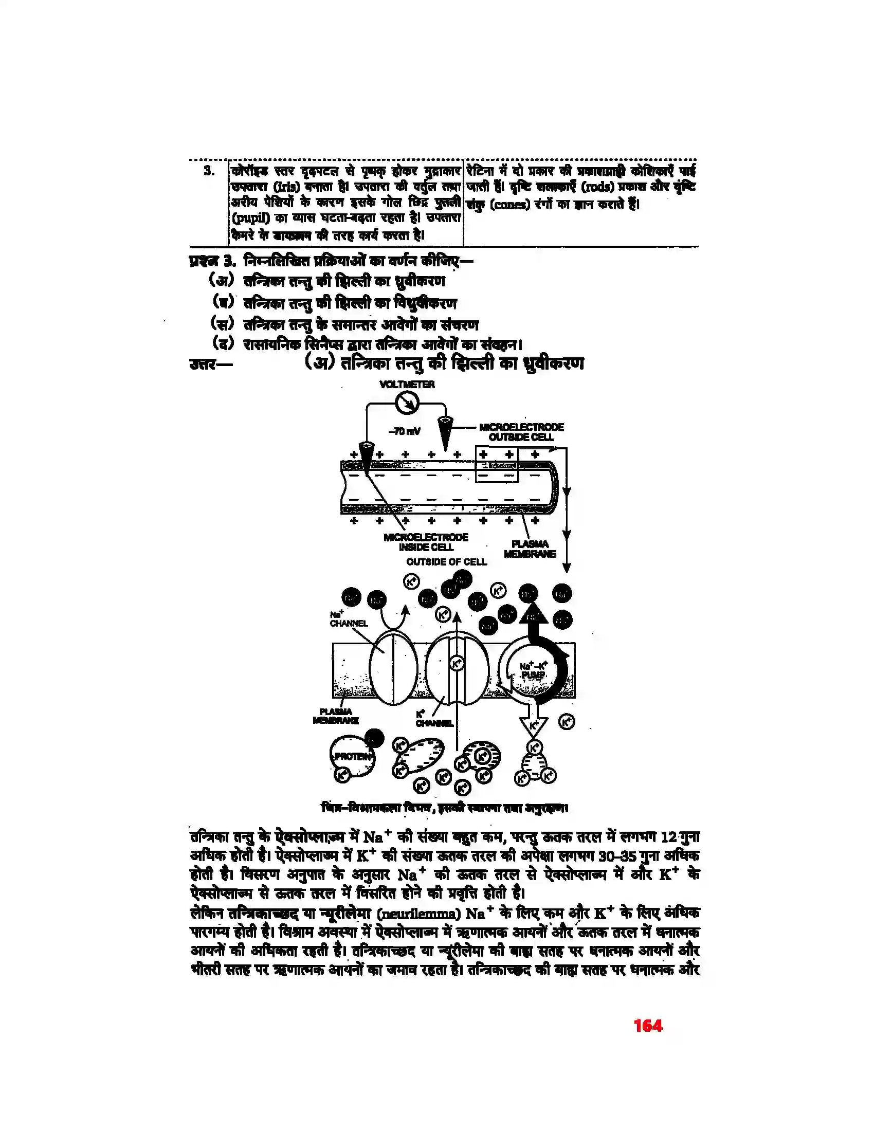 Bihar Board Class 11th Biology (जीव विज्ञान) Chapter 21 (तंत्रिकीय नियंत्रण एवं समन्वय) Solution 8