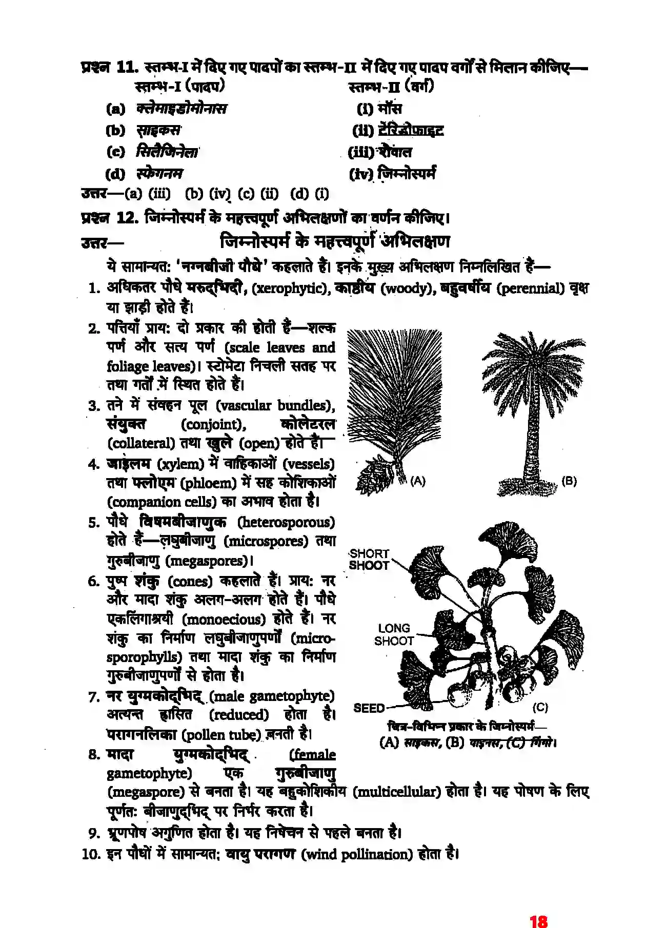 Bihar Board Class 11th Biology (जीव विज्ञान) Chapter 3 (वनस्पति जगत) Solution 7