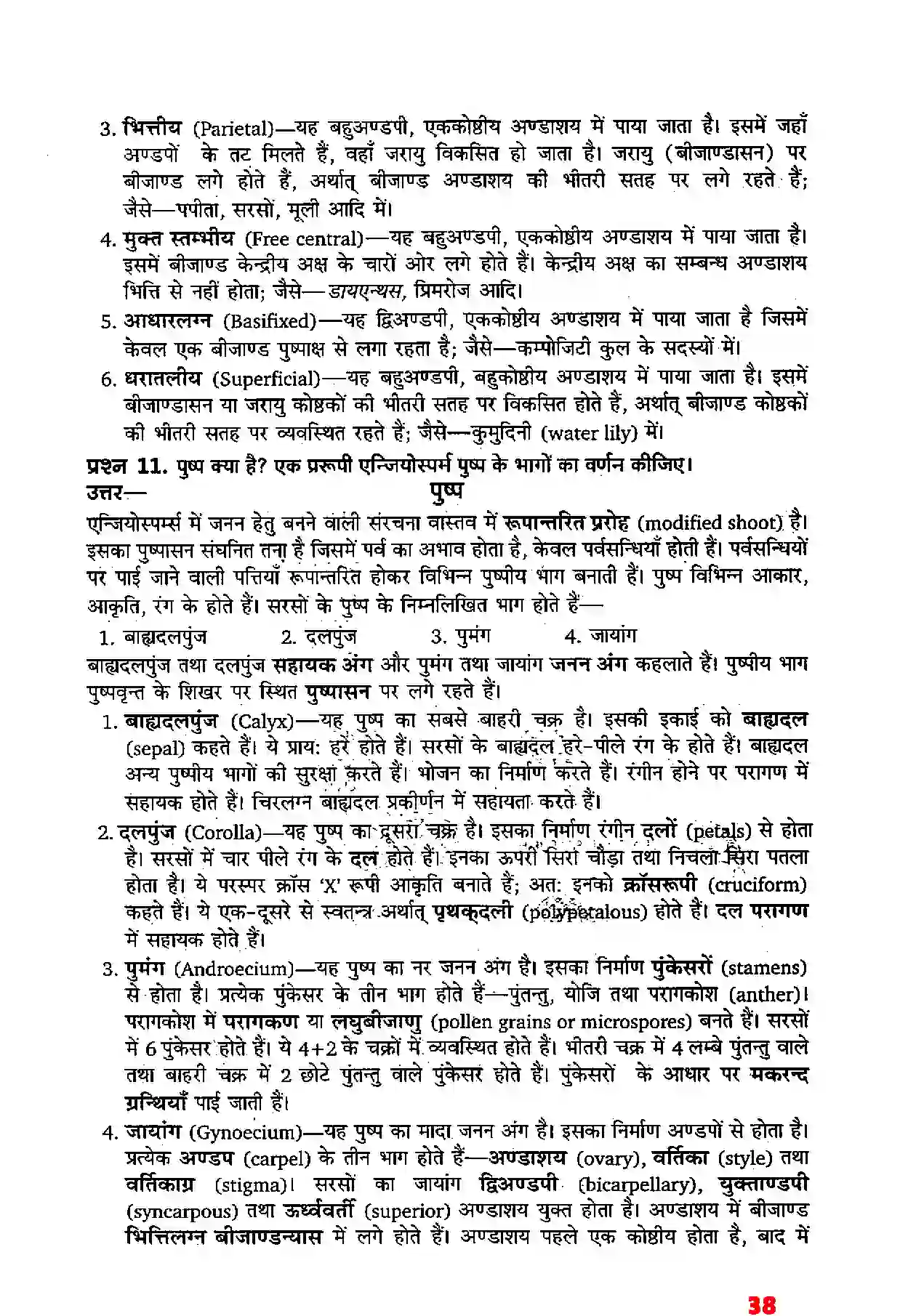 Bihar Board Class 11th Biology (जीव विज्ञान) Chapter 5 (पुष्पी पादपों की आकारिकी) Solution 16