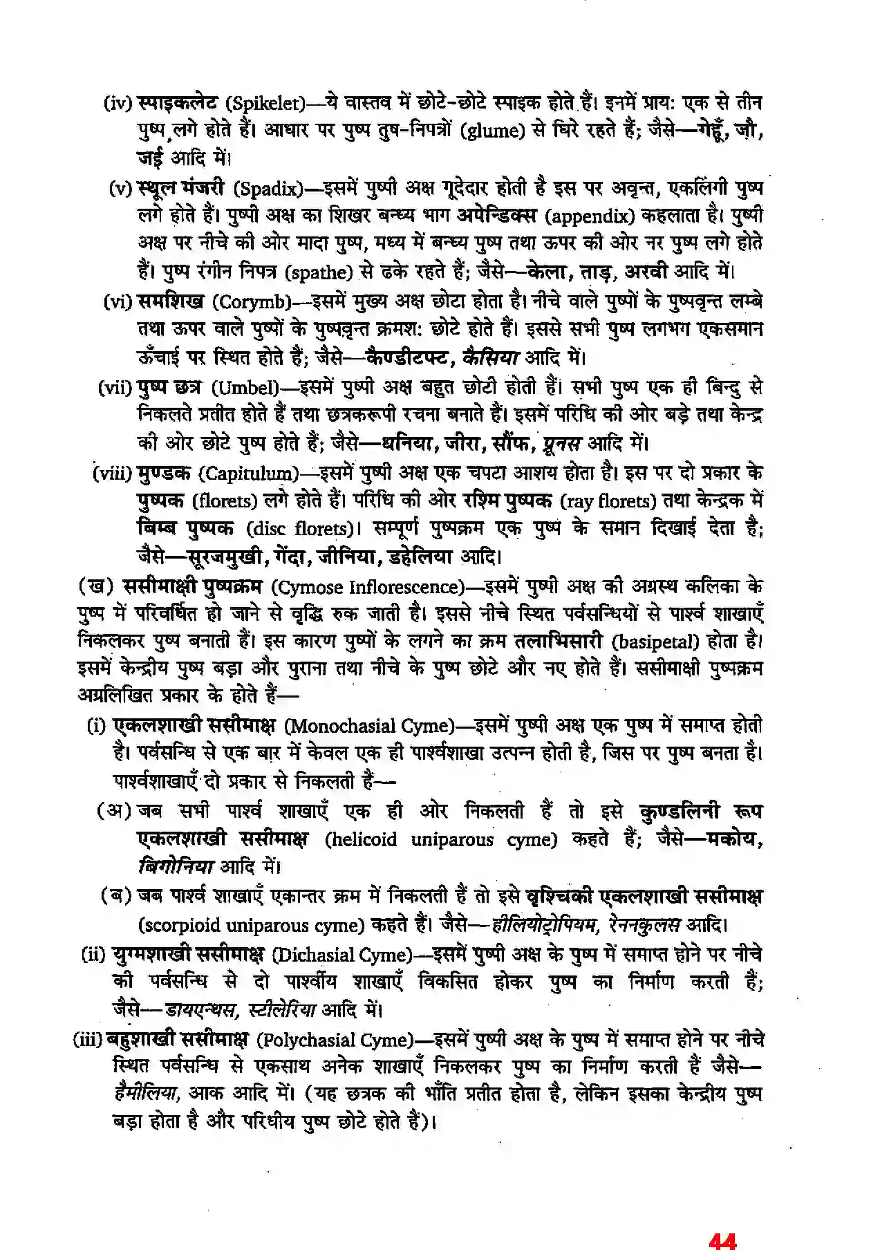 Bihar Board Class 11th Biology (जीव विज्ञान) Chapter 5 (पुष्पी पादपों की आकारिकी) Solution 22