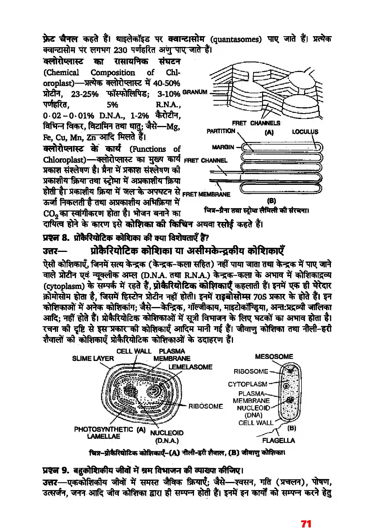 Bihar Board Class 11th Biology (जीव विज्ञान) Chapter 8 (कोशिका जीवन की इकाई) Solution 4