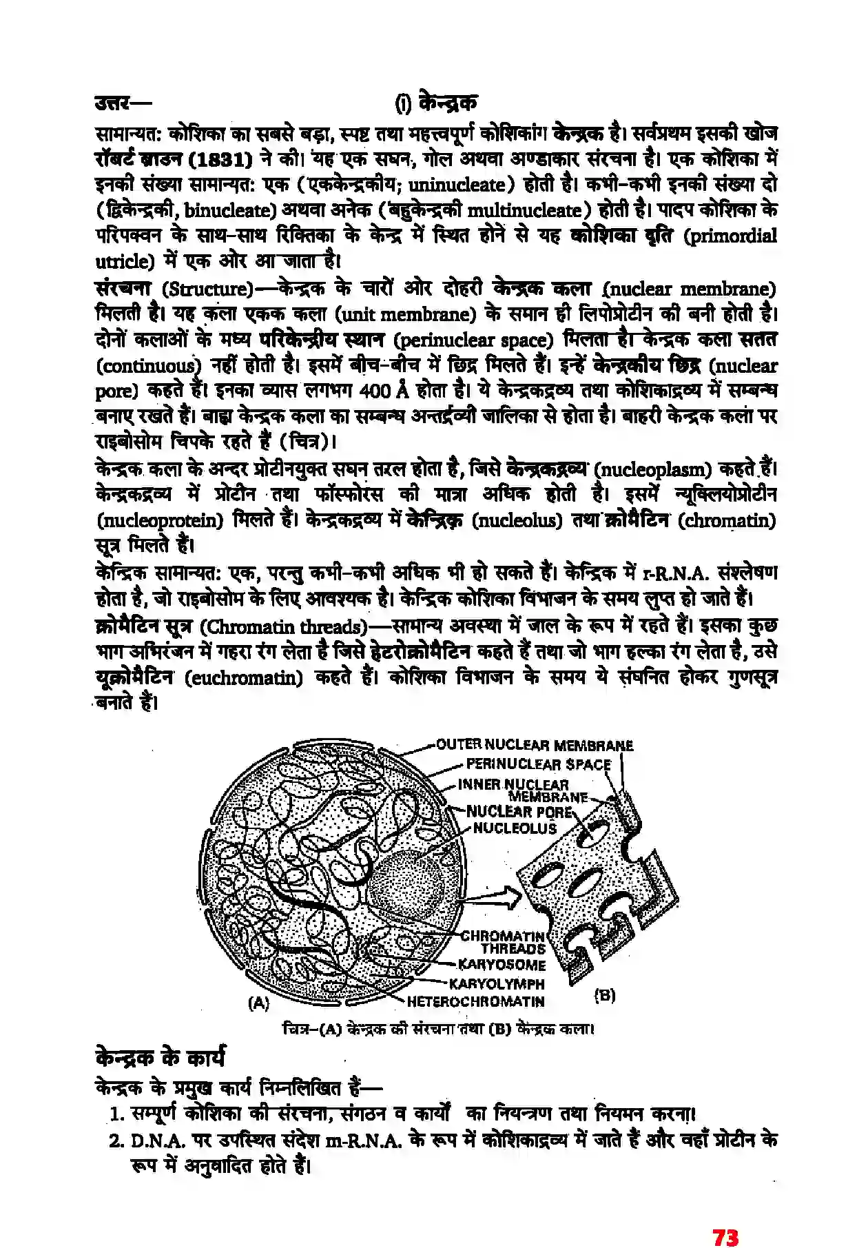 Bihar Board Class 11th Biology (जीव विज्ञान) Chapter 8 (कोशिका जीवन की इकाई) Solution 6