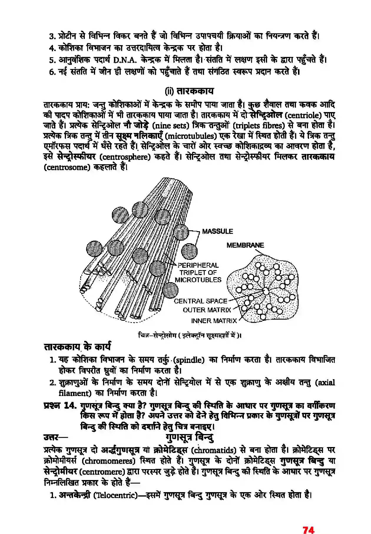 Bihar Board Class 11th Biology (जीव विज्ञान) Chapter 8 (कोशिका जीवन की इकाई) Solution 7