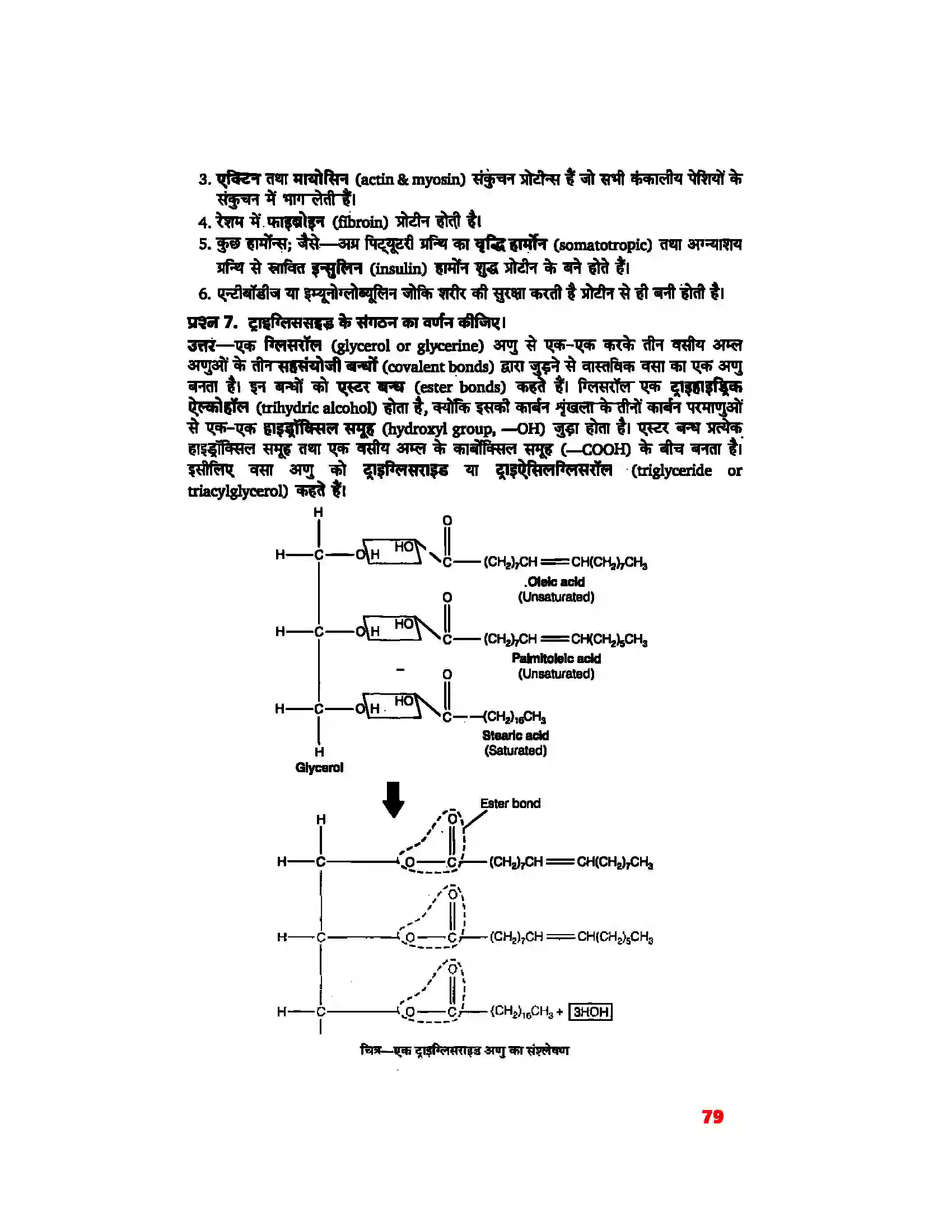 Bihar Board Class 11th Biology (जीव विज्ञान) Chapter 9 (जैव अणु) Solution 4